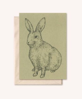 Carte durable + enveloppe | Lapin animal | sauge 1