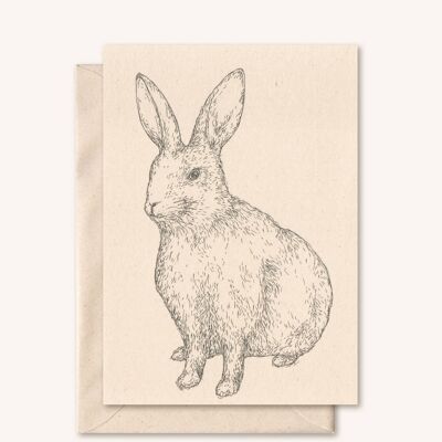 Nachhaltige Karte + Umschlag | Tier Kaninchen | Holunder