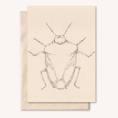 Nachhaltige Karte + Umschlag | Insektenkäfer | Holunder