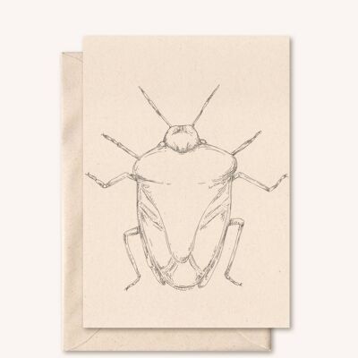 Tarjeta + sobre sostenible | Insecto insecto | flor de saúco