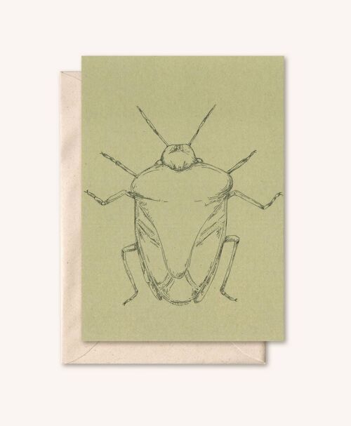 Duurzame kaart + envelop | Insect Wants | Salie