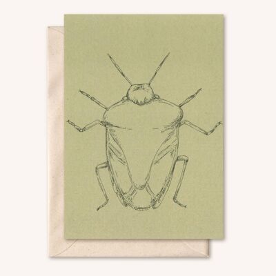 Sustainable card + envelope | Insect Bug | Sage