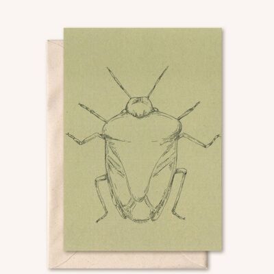 Sustainable card + envelope | Insect Bug | Sage