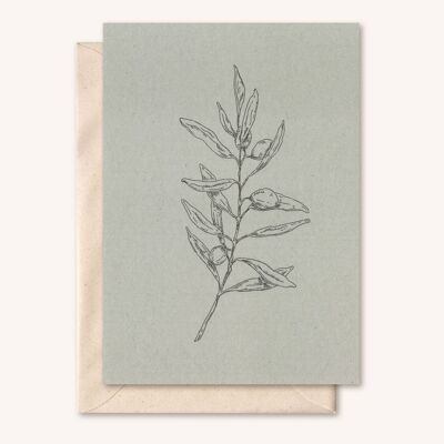 Carte durable + enveloppe | Rameau d'olivier | sapin argenté