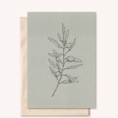 Tarjeta + sobre sostenible | Rama de olivo | abeto blanco