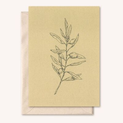 Sustainable card + envelope | Olive branch | Walnut