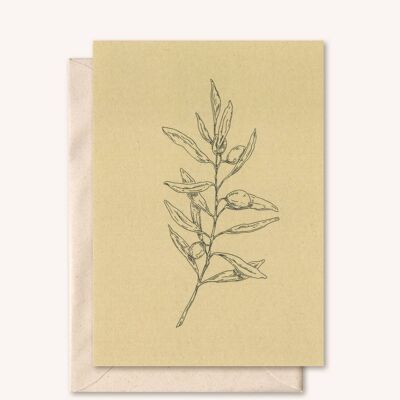 Sustainable card + envelope | Olive branch | Walnut