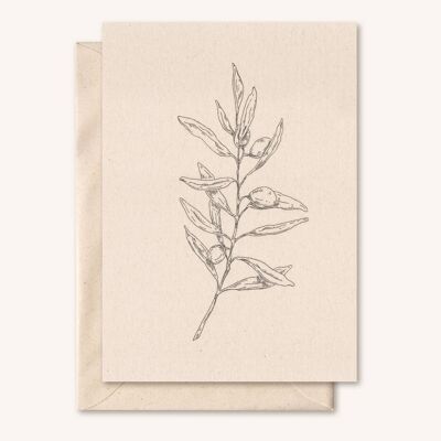 Tarjeta + sobre sostenible | Rama de olivo | flor de saúco