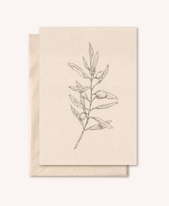 Carte durable + enveloppe | Rameau d'olivier | fleur de sureau 1