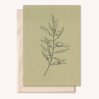 Carte durable + enveloppe | Rameau d'olivier | sauge