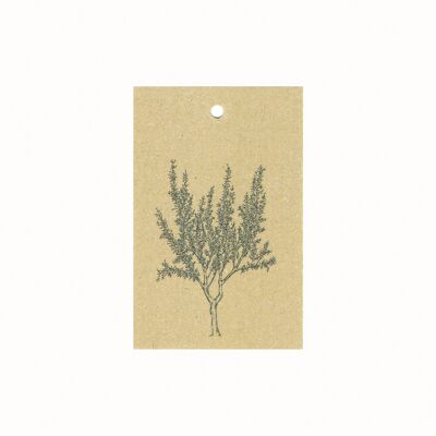 Sustainable gift card almond tree