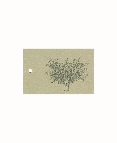 Sustainable gift card olive tree