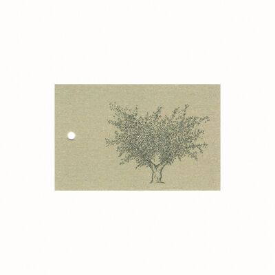 Nachhaltige Geschenkkarte Olivenbaum