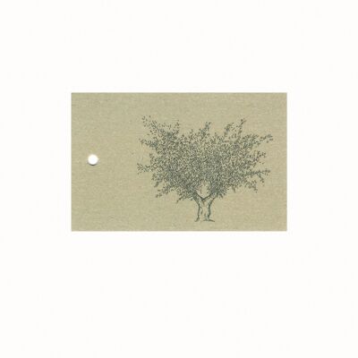 Sustainable gift card olive tree