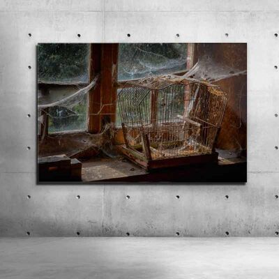 Spiderweb - Canvas, 100 cm x 70 cm