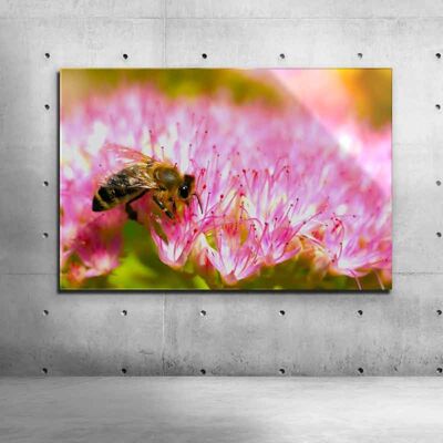 Bee - Dibond, 150 cm x 100 cm