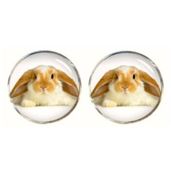 Boutons de Manchette Lapin - Beige.Blanc 1