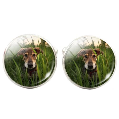 Dog in The Long Grass Cufflinks - Green.Brown