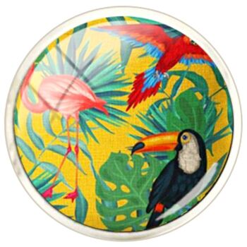 Boutons de manchette Pélican, Toucan et Oiseaux Tropicaux 3