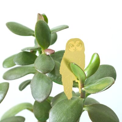 Plant Animal Owl Brass