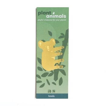 Plante Animal Ours Koala 3