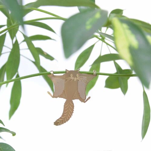 Plant Animal Flying Squirrel