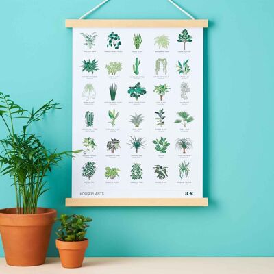 A3 Popular houseplants print