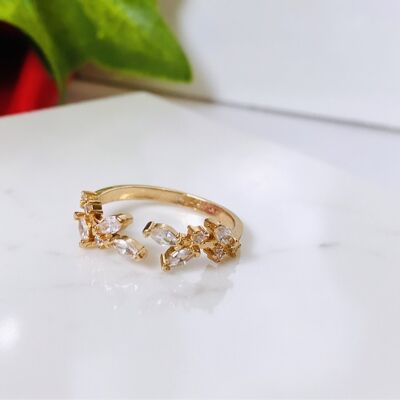 Anillo Leaf Love (Ajustable)