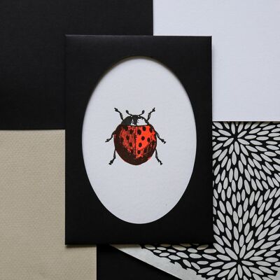 Tarjeta tipográfica Ladybird