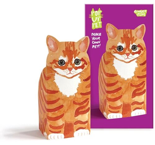 Pop up pet ginger tom