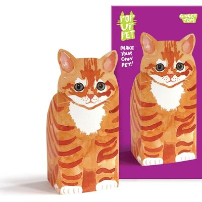 Pop up pet ginger tom