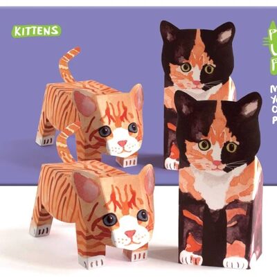 GATITOS POP UP PARA MASCOTAS