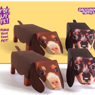 POP UP HAUSTIER DACHSHUND WELPEN