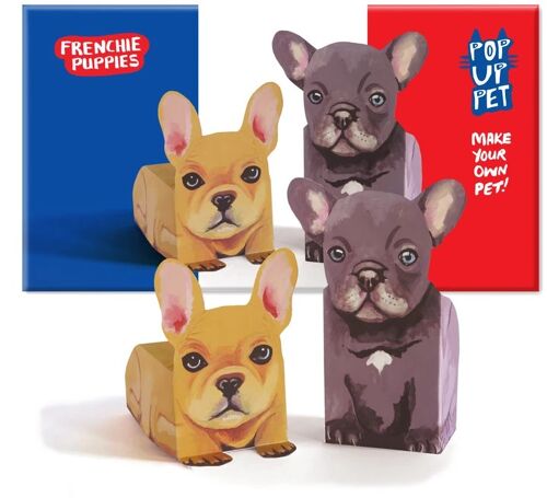 Pop up pet frenchie puppies