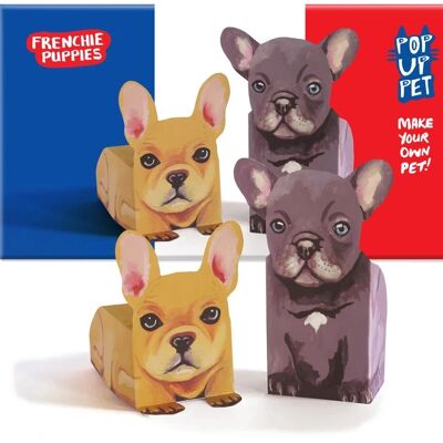 POP UP PET CHIOTS FRANÇAIS