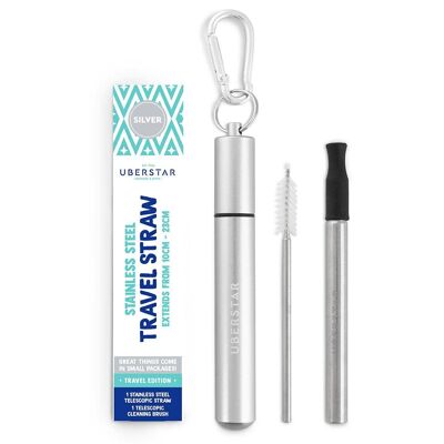 Travel Stainless Steel Straw - Silver