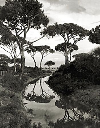 Maremme Tropical.. 1935