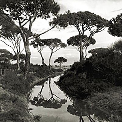 Maremme Tropical.. 1935