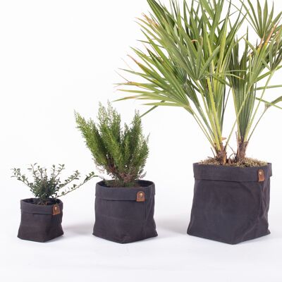 Set of waxed canvas planters PLANTER Charcoal