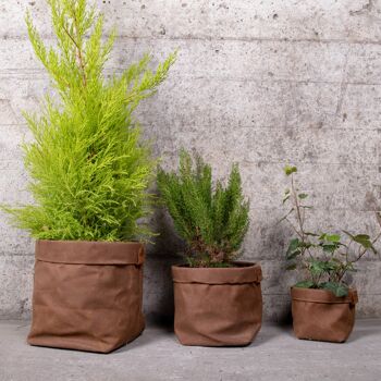 Set de Cache-pots en toile waxée PLANTER Havane 2