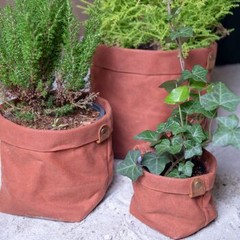 Set de Cache-pots en toile waxée PLANTER Terre Cuite 3