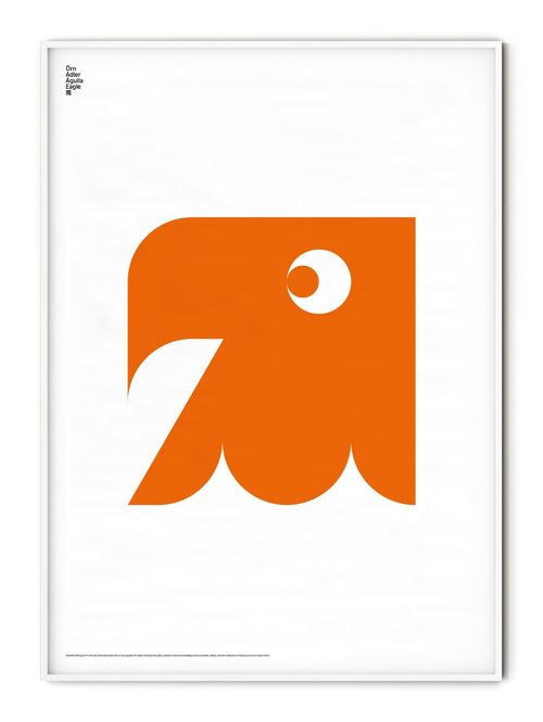 Animal Eagle Poster - 50x70 cm
