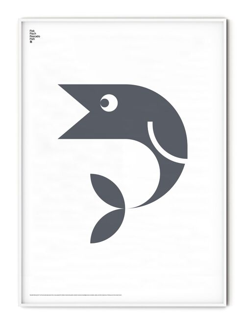 Animal Fish Poster - 50x70 cm