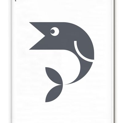 Tier Fisch Poster - 50x70 cm