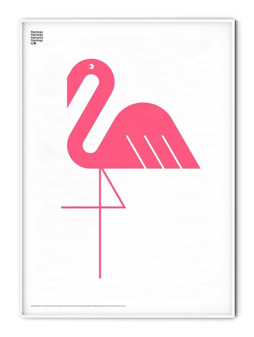 Animal Flamingo Poster - 50x70 cm