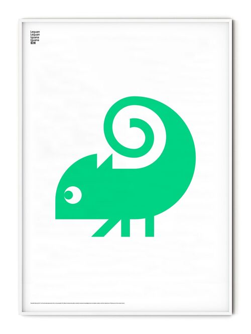 Animal Iguana Poster - 50x70 cm