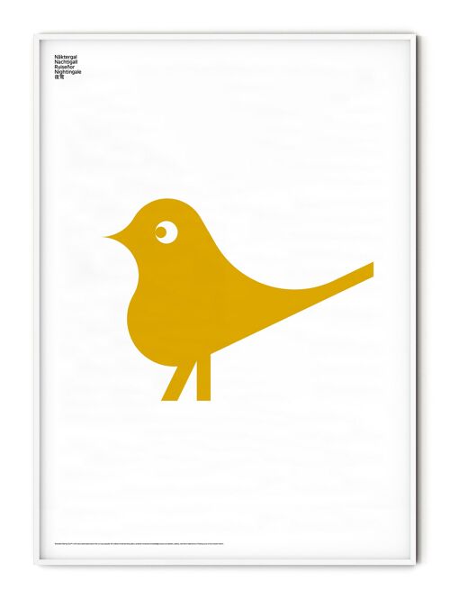 Animal Nightingale Poster - 50x70 cm