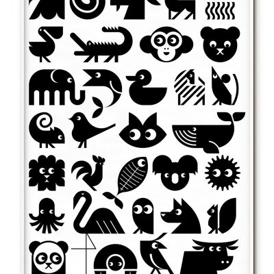 Affiche de présentation des animaux - 50x70 cm