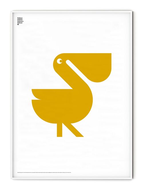 Animal Pelican Poster - 50x70 cm
