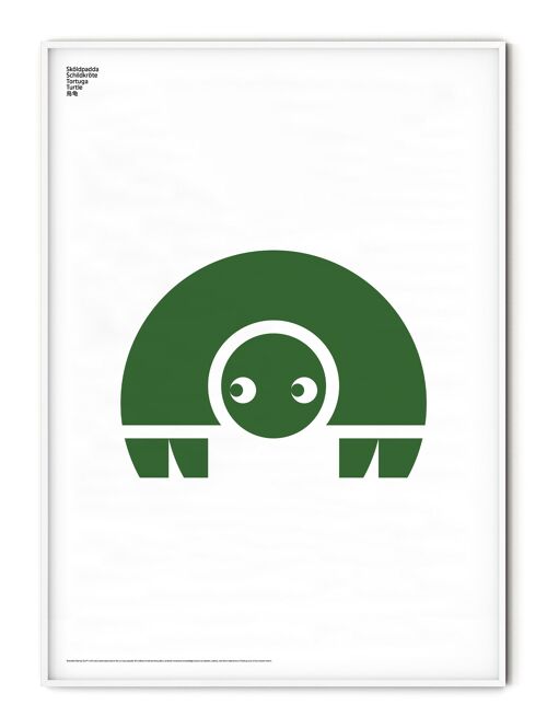 Animal Turtle Poster - 50x70 cm